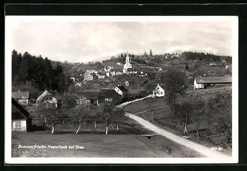 AK Nestelbach, Gesamtansicht aus der Vogelschau