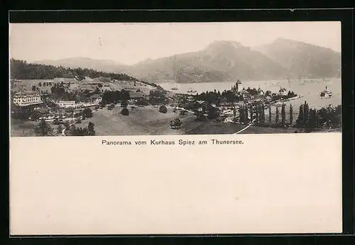 AK Spiez, Panorama vom Kurhaus am Thunersee