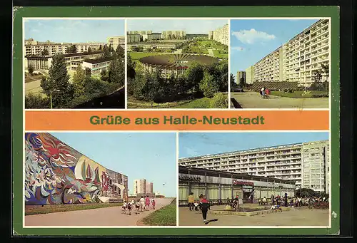 AK Halle-Neustadt, Polytechnische Oberschule WK I, Sportschule Friedrich Engels, Schwimmhalle