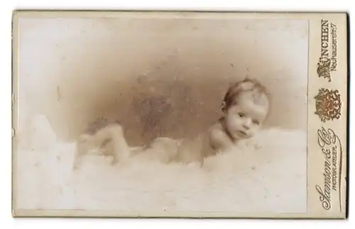 Fotografie Samson & Co., München, Neuhauserstr. 7, Portrait nacktes süsses Baby auf einem Fell liegend