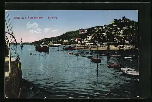 AK Hamburg-Blankenese, Blick auf Süllberg