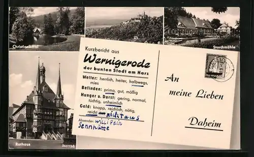 AK Wernigerode / Harz, Rathaus, Storchmühle, Christianental, Kurzbericht von Willi Pein