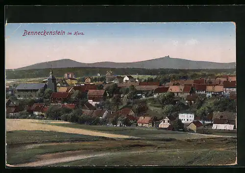 AK Benneckenstein / Harz, Gesamtansicht