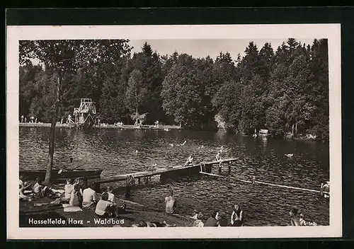 AK Hasselfelde / Harz, Badegäste im Waldbad