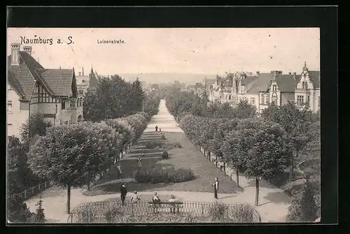 AK Naumburg a. S., Villenpartie in der Luisenstrasse