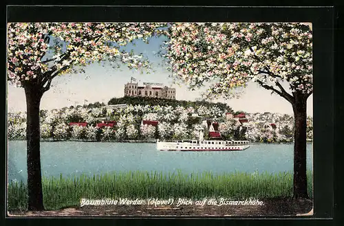 AK Werder (Havel), Baumblüte - Blick auf die Bismarckhöhe