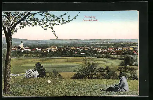 AK Eferding, Gesamtansicht aus der Ferne