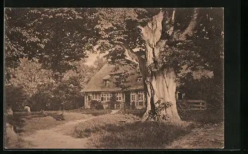 AK Bispingen, Pfarrhaus