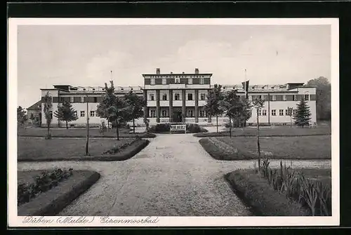 AK Düben /Mulde, Eisenmoorbad