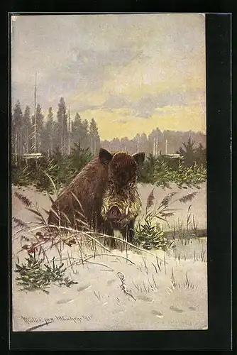 Künstler-AK M. Müller jun.: Wildschwein in winterlicher Landschaft