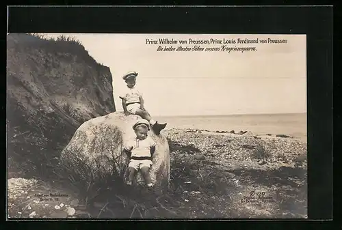 AK Prinz Wilhelm von Preussen, Prinz Louis Ferdinand von Preussen, Die beiden ältesten Söhne des Kronprinzenpaares