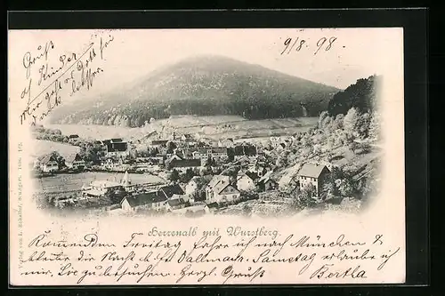 AK Herrenalb, Teilansicht mit Wurstberg