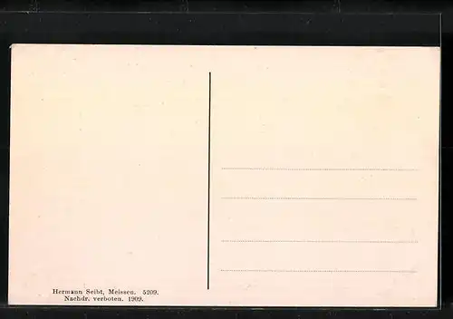 AK Linz a. d. D., Teilansicht und Brücke mit Strassenbahn
