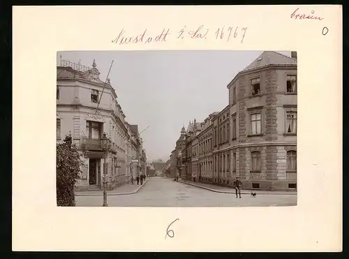 Fotografie Brück & Sohn Meissen, Ansicht Neustadt i. Sa., Blick in die Albertstrasse