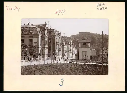 Fotografie Brück & Sohn Meissen, Ansicht Sebnitz, Blumen Fabrik in der Kreutzstrasse