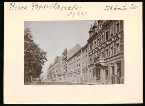 Fotografie Brück & Sohn Meissen, Ansicht Riesa, Wohnhäuser in der Poppitzerstrasse