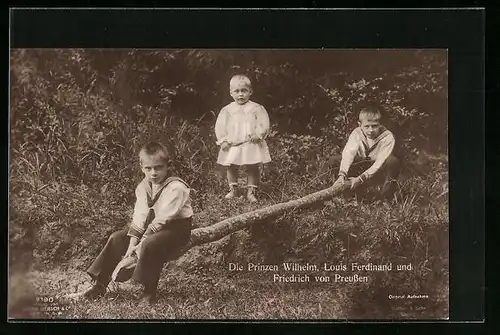 AK Die Prinzen Wilhelm, Louis Ferdinand und Friedrich von Preussen