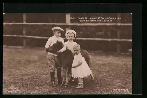 AK Prinz Louis Ferdinand, Prinz Hubertus und Prinz Friedrich von Preussen mit einem Pony