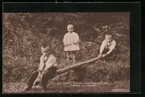 AK Die Prinzen Wilhelm, Louis Ferdinand und Friedrich von Preussen spielen im Wald