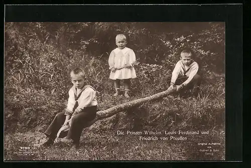 AK Die Prinzen Wilhelm, Louis Ferdinand und Friedrich von Preussen mit einem Baumstamm