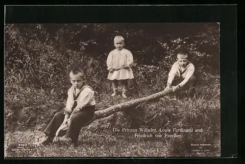 AK Wilhelm, Louis Ferdinand und Friedrich, Prinzen von Preussen