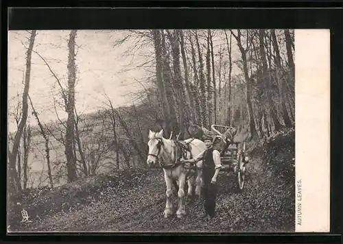AK Forstarbeiter mit Pferdewagen, der mit Baumstämmen beladen ist