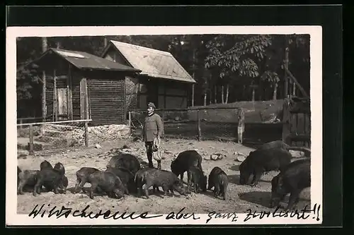 AK Förster im Wildschweingehege in Moritzburg