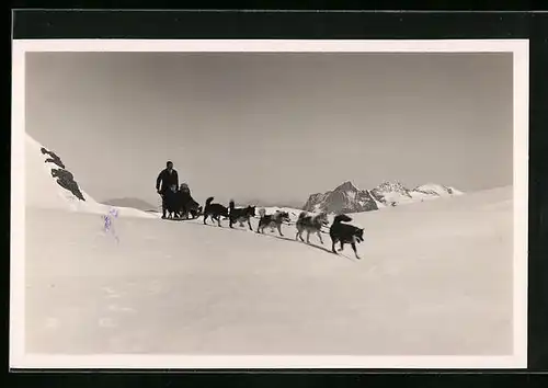 AK Schlittenhunde am Mönchjoch mit Fahrgästen