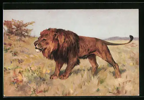 Künstler-AK Löwe auf der Jagd in der Steppe