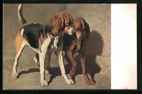 Künstler-AK Zwei stehende Jagdhunde