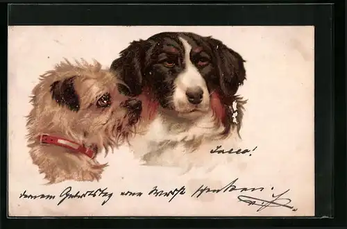 Künstler-AK Potrait zweier Hunde