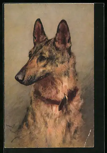 Künstler-AK Portrait eines Schäferhundes mit Halsband