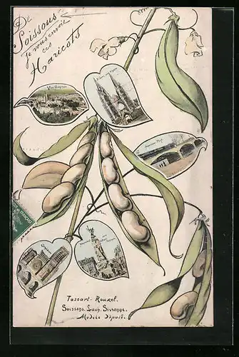 AK Soissons, Nouveau Pont, Cathédrale, Monument, des Haricots