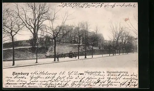 AK Hamburg, Hagedornlinde b. Harvestehuderweg