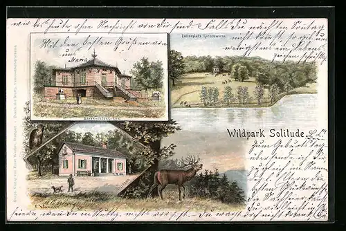 Lithographie Stuttgart, Wildpark Solitude - Bärenschlösschen, Hirschwiese, Röhrender Hirsch