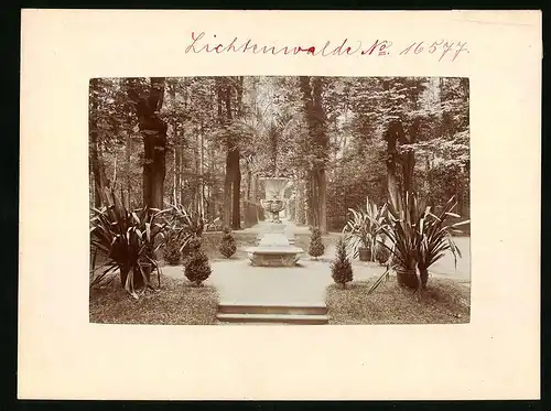 Fotografie Brück & Sohn Meissen, Ansicht Lichtenwalde, Parkanlage mit Denkmal