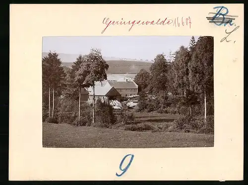 Fotografie Brück & Sohn Meissen, Ansicht Geringswalde, Sägewerk Rinnmühle