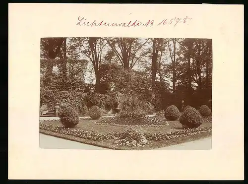 Fotografie Brück & Sohn Meissen, Ansicht Lichtenwalde, Partie im Schlosspark