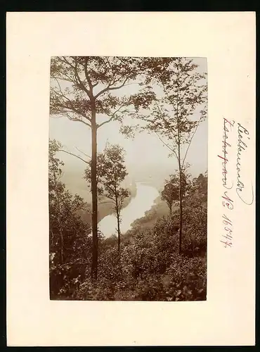 Fotografie Brück & Sohn Meissen, Ansicht Lichtenwalde, Flusslauf im Zschopautal vom Harrasfelsen gesehen