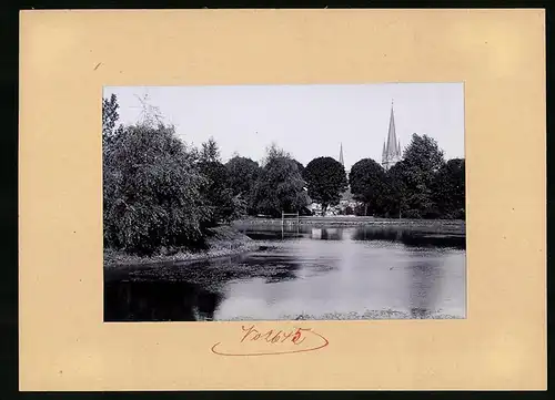 Fotografie Brück & Sohn Meissen, Ansicht Neustadt i. Sa., Gewässer mit Blick zur Kirche