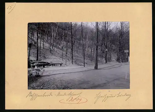 Fotografie Brück & Sohn Meissen, Ansicht Kötzschenbroda-Niederlössnitz, Partie im Lössnitzgrund