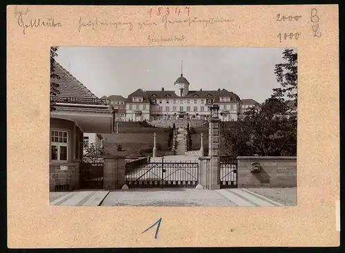 Fotografie Brück & Sohn Meissen, Ansicht Gottleuba, Eingang zur kgl. Landesanstalt