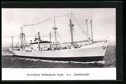 AK Handelsschiff MS Zaanland des Koninklijke Hollandsche Lloyds in Flaggengala