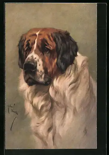 Künstler-AK Portrait eines Bernhardiners