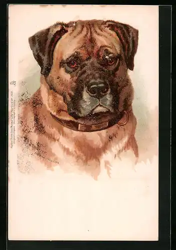 Künstler-AK Portrait eines Boxers