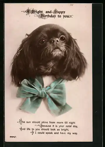 Künstler-AK Kleiner Hund mit Schleife - Geburtstagsgruss