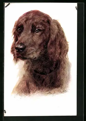 Künstler-AK Portrait eines Jagdhundes