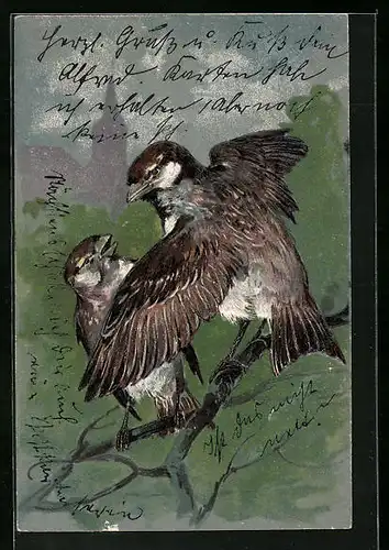 Präge-AK Zwei Vögel auf einem Ast