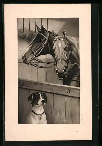 Künstler-AK Zwei Reitpferde im Stall hinter sitzendem Hund