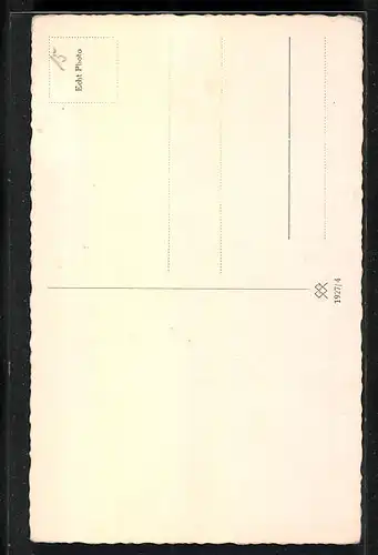 AK Ein Schaufler auf eingezäunter Wiese